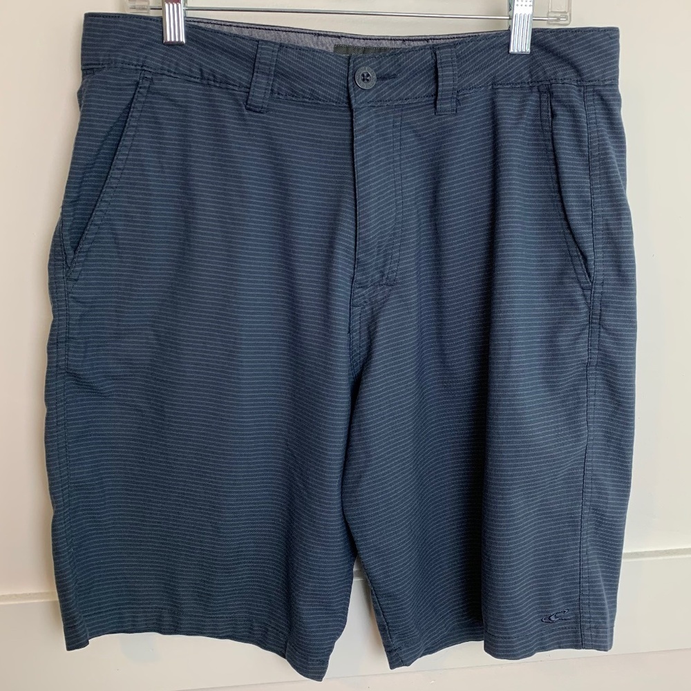 O'Neill Blue Striped Shorts